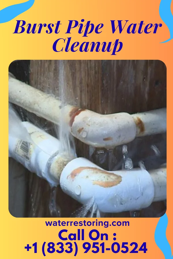 Burst Pipe Water Cleanup in Wellington, OH