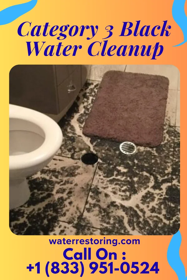Category 3 Black Water Cleanup in Wellington, OH