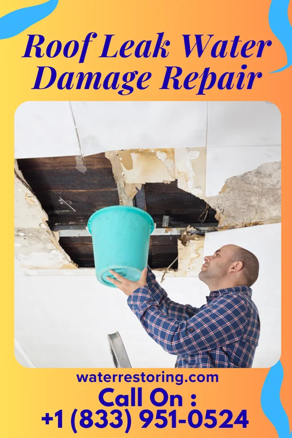 Roof Leak Water Damage Repair in Wellington, OH