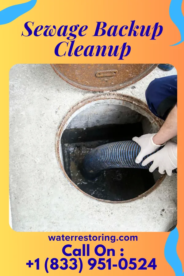 Sewage Backup Cleanup in Wellington, OH