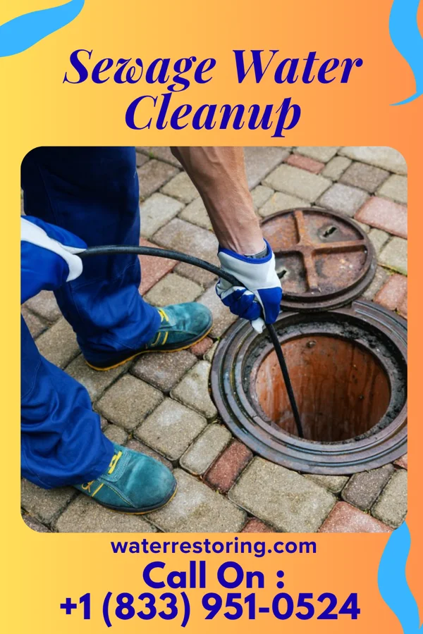 Sewage Water Cleanup in Wellington, OH