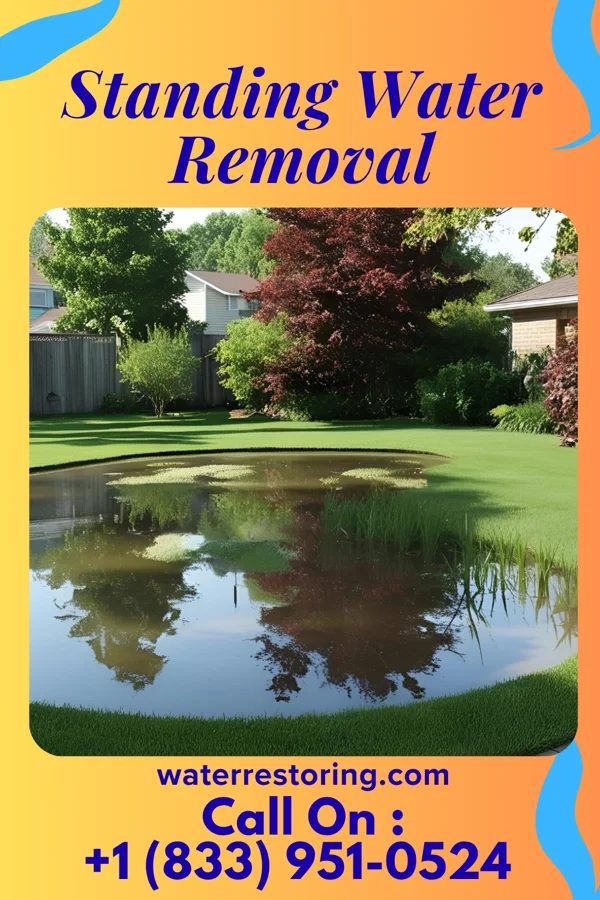 Standing Water Removal in Wellington, OH